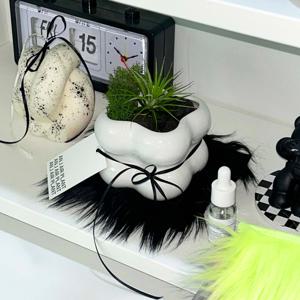 이오난사 큐브 식물 SET (화분+식물2종+화산석) 틸란드시아 스칸디아모스 공기정화 플랜트