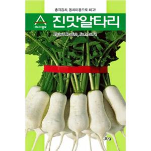 무씨앗 진맛알타리(20g) 총각김치 동치미무