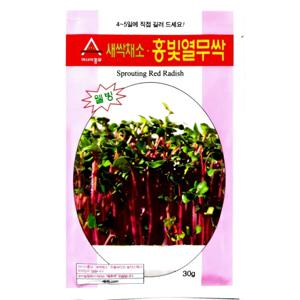 새싹씨앗 홍빛열무싹(30g) 새싹채소