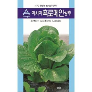 상추씨앗 아시아흑로메인 펠렛코팅씨앗 (300립)