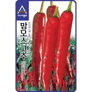 고추씨앗 맘모스고추(1,200립)