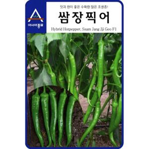 고추씨앗 쌈장찍어(100립)