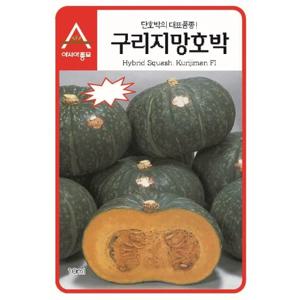 단호박씨앗 구리지망(400립)