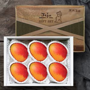 제주 애플망고 5~6과(왕특대) 선물세트 3kg/제주직송