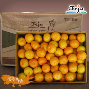 제주 하우스감귤 선물세트 10kg(중과, 81-120과 내외)/제주직송