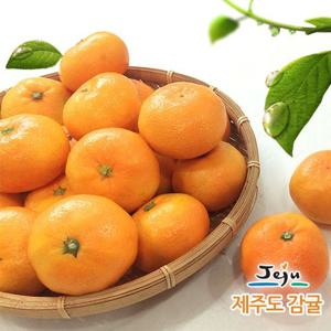 제주 하우스감귤 10kg(중과, 81-120과 내외)