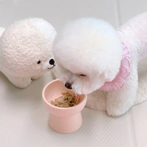 강아지 고양이 도자기 세라믹식기