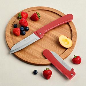 골드 휴대용 폴딩 나이프 접이식 과도 과일용칼 다용도