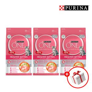 원캣 키튼치킨 1.4kg 3개 + 원캣 습식 70g