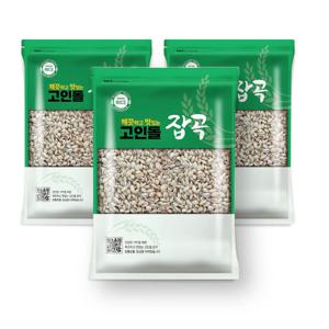 25년_고인돌잡곡 찰보리3kg(1kgx3개) 햇찰보리쌀 강화산