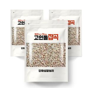 25년_고인돌잡곡 찰보리1.5kg(500gx3개) 햇찰보리쌀 강화산