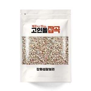25년_고인돌잡곡 찰보리500g 햇찰보리쌀 강화산