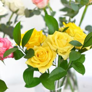 장미 생화 반단 그린 소재 번들 꽃선물 화병 포장 꽃배달 정기구독