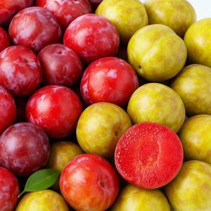 피자두 수박자두 1kg 국내산 경북 경산 농장