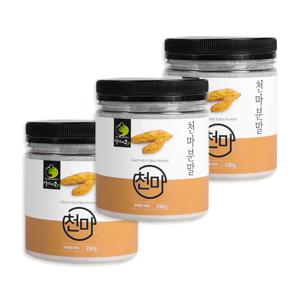 국산 무주 천마 정풍초 분말 가루 750g