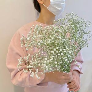 안개꽃 웨딩촬영 꽃다발 생화 택배 꽃선물 꽃배달