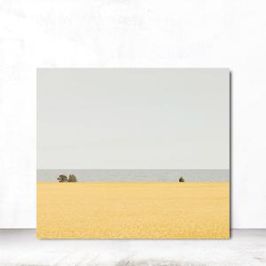 풍경화 노란꽃 거실 현관 인테리어액자 캔버스 오후의고요 S 41x31cm