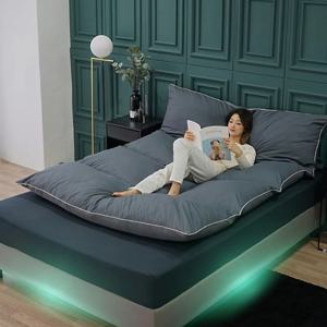 카멜레온 변신 양면 토퍼 요 바닥 침대 스마트 매트리스