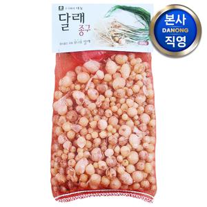 달래 종구 (씨앗) 400g . 야채 채소 텃밭 파종 재배 주말 농장 씨 종자