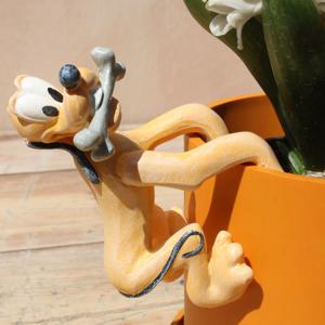 자디노피아 디즈니 화분인형 (플루토) Pluto Pot Buddy