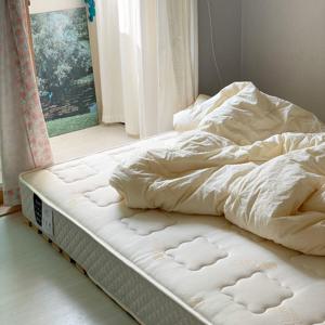 국내생산 자모고 포트 오가닉 척추보호 본넬스프링 침대 매트리스 (CS/S/SS/Q/K)