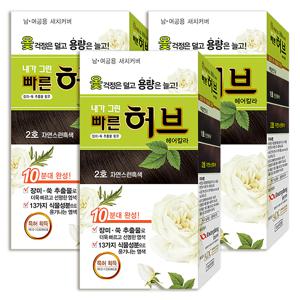 새치 순한 식물성 염색약 2호 자연흑색 3팩