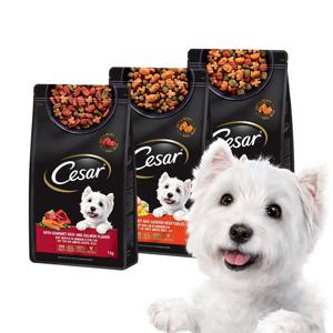 시저 1kg 강아지사료