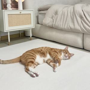 고양이 펫 러그 강아지 매트 카페트 미끄럼방지 워셔블