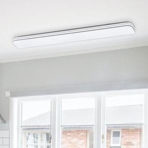 LED 60W 헤이리 2등 주방등