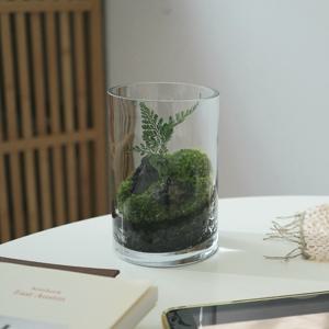 이끼 숲 테라리움 A TYPE 테라리움 DIY 키트 비단이끼 키우기