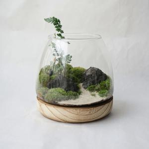 이끼 숲 테라리움 C TYPE 테라리움 DIY 키트 비단이끼 키우기