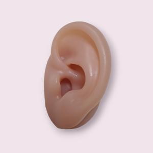 귀모형 귀모양 피어싱 연습용 귀걸이 디스플레이 인체모형 왼쪽귀