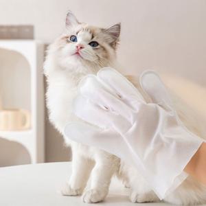 강아지 고양이 물티슈 장갑형 바디티슈 6매 목욕 발 티슈 펫티슈