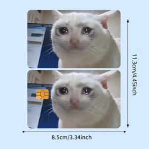TEMU EBT, 교통수단 키, 신용카드, 직불카드, 카드 스킨을 위한 2개 장식된 크레딧 카드 스티커 세트 - 고품질, 작은 칩 카드에 적합, 거품 없음
