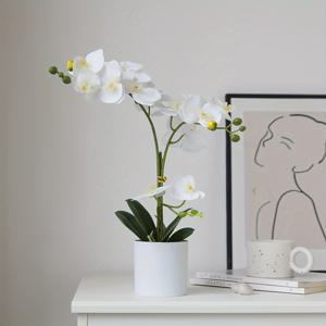 TEMU 1개, 시뮬레이션 난초 꽃다발 세트, 인공 난초 꽃다발 작은 화분 식물, 45cm/17.71인치 높이, 집 장식, 거실 탁자, 공부 방 장식품, 야외 정원 장식, 휴일 파티 장식, 결혼 약혼 장식에 적합합니다.