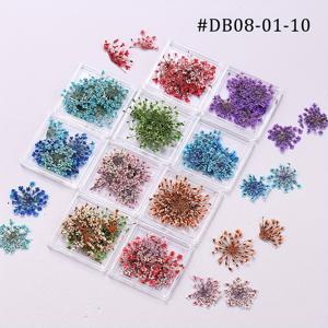 TEMU 여름용 말린 꽃 네일 아트 데칼 10박스, DIY 매니큐어 기술 용품