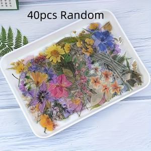 TEMU 스크랩북, 저널링, DIY 공예용 40개 꽃과 식물 스티커 - 혼합 색상, 반짝이는 마감의 재사용 가능한 자체 접착 플라스틱 스티커