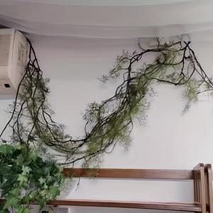 TEMU 1개 자외선 방지 인공 아이비 덩굴 - 실내 및 실외 장식용 리얼리스틱 매달린 이끼 식물, 벽 예술, 현관 녹색 공간, 여름 전시에 완벽함 | 유지보수가 적은 플라스틱 잎과 시뮬레이션 디자인 | 파티, 어머니날, 아버지날, 졸업식, 그리고 6월 축하 행사에 이상적