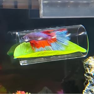 TEMU 1pc 투명 베타 물고기 터널 - PC 소재, 다목적 은신처 및 수조용 휴식 장소, 내구성 및 청소가 용이, 신선수조 및 해수 수조용 이상적인 물고기 탱크 액세서리|장식 아이템|폴리카보나이트 구조