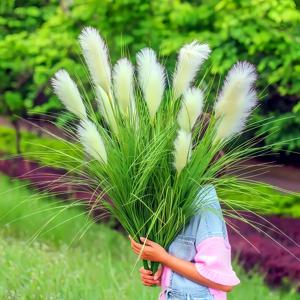 TEMU 6-Head 2pcs 인공 녹색 식물 - 현실적인 흰색 파мп아스 잔디, 가정 및 야외 장식에 적합, 정원, 파티오, 포치, 거실에 완벽, 기념일, 휴일, 어머니의 날, 졸업, 집들이 선물, 결혼 시즌, 결혼 장식 | 자연스러운 모양 | 유지 관리 없음, 파мп아스 잔디 장식