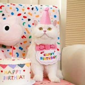 TEMU 2개 세트, 반려동물의 날을 특별하게 만들어주는 생일 선물: 개와 고양이용 비브 포함 파티 용품 드룰 타월 펠트 모자, 소형 및 중형 애완견과 고양이를 위한 이상적인 축하 키트