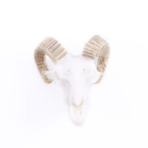 TEMU 1개 카운터퀘 화이트 레진 RAM 해골 장식용 수족관 - 사실적이고 상세한 미니어처, 자연스러운 미학, 어항 장식에 이상적