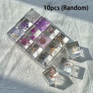 TEMU 10pcs 1.6cm 랜덤 드롭 글루 식물 블록, 3D 실 꽃과 잎 식물 표본 드립 젤, 친구에게 선물로 사용할 수 있는 영원한 꽃 장식품