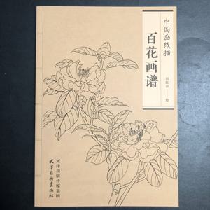 TEMU 중국 전통 미술에 초점을 둔 그림 그리기 가이드, 초보자에게 적합한 선 그리기 포함. 스트레스를 완화하기 위한 청소년 및 성인용 그림 그리기 책, 워터 컬러, 잉크 워시 및 오일 페인팅용 DIY 그림 그리기 페이지 포함. 중국 버전