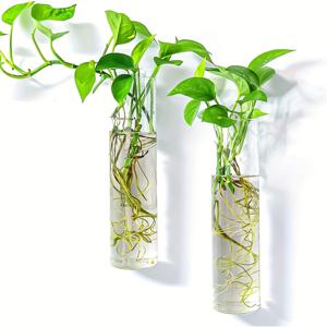 TEMU 4pcs 아트 데코 유리 실린더 바구니 벽걸이 테라리움 용기, 수분식 식물 증식에 이상적, 가정 사무실 정원 장식, 결혼식