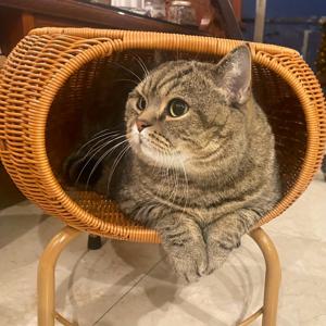 TEMU 침실, 거실, 공부실을 위한 손수 만든 인조 rattan 짠 보관 스푼/차이 테이블/작은 책상 및 의자/세트 - 빈티지 일본 농촌 스타일, 부모님, 친척, 친구에게 선물로 이상적인 크리스마스, 발렌타인데이, 부활절, 라마단, 세인트 패트릭 데이|의자|티테이블