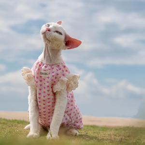 TEMU 귀여운 핑크 러브 고양이 드레스 - 통기성, 방수, 방수 여름 의류, 플러터링 슬리브, 데본과 소형견에게 적합, 고양이 팬을 위한 귀여운 의상