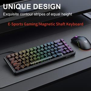 TEMU ONIKUMA 67-Key 유선 자석 게임 키보드 - RGB 조명, 0.01 정확도, 낮은 지연 시간, USB-C, E-Sports 준비, 양손 사용 가능, PC/FPS 게임 및 사무실 사용에 적합, E-Sports 컨트롤러 | 게임 설정 | 유선 키보드