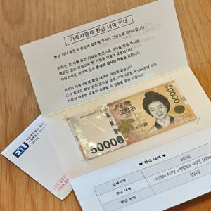 TEMU 반전 돈 봉투 용돈 이벤트 박스 [체납고지서 현금 선물 부모님 어버이날 환갑 생신 생일 칠순 팔순 포장]