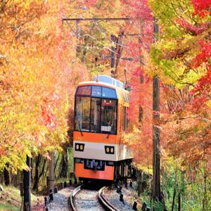 [디지털패스] 교토, 오사카 게이한 패스 1일권 (구라마 & 기부네)